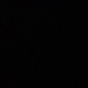 Meet your Posher, Wesley